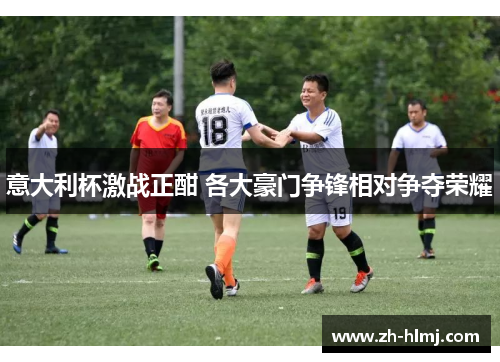 意大利杯激战正酣 各大豪门争锋相对争夺荣耀 意大利杯激战正酣 各大豪门争锋相对争夺荣耀